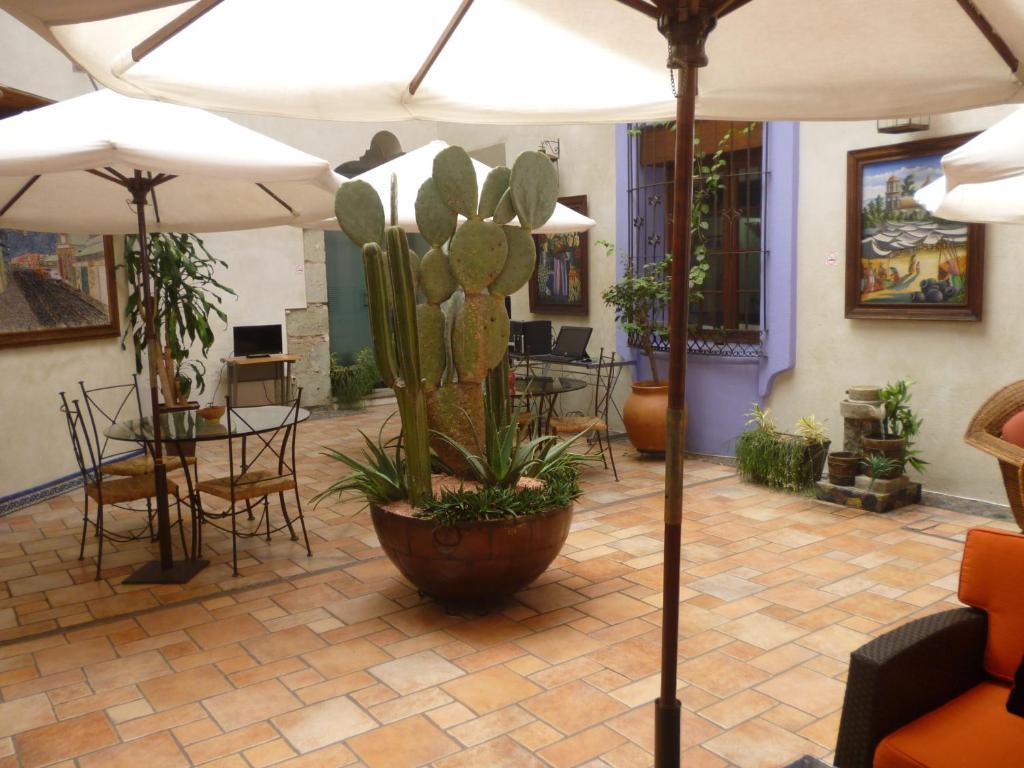 Hotel Trebol Oaxaca Room photo